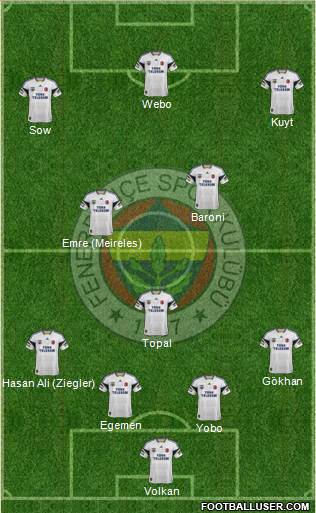 Fenerbahçe SK Formation 2014