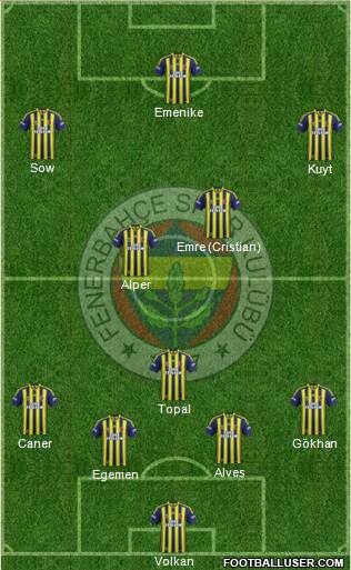Fenerbahçe SK Formation 2014