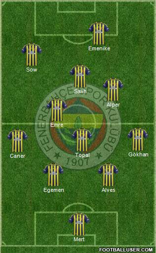 Fenerbahçe SK Formation 2014