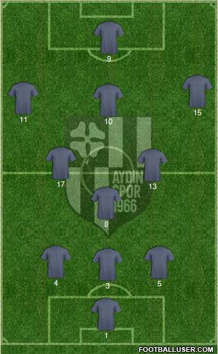 Aydinspor Formation 2014