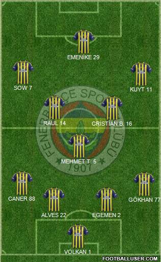 Fenerbahçe SK Formation 2014