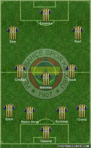 Fenerbahçe SK Formation 2014