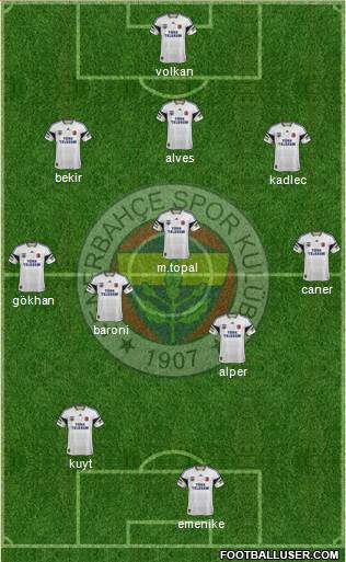 Fenerbahçe SK Formation 2014
