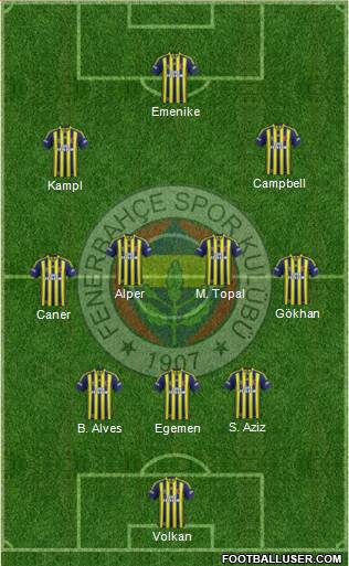 Fenerbahçe SK Formation 2014
