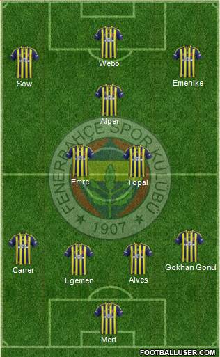 Fenerbahçe SK Formation 2014