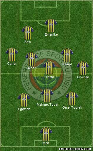 Fenerbahçe SK Formation 2014