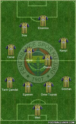 Fenerbahçe SK Formation 2014