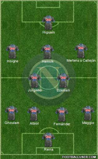 Napoli Formation 2014