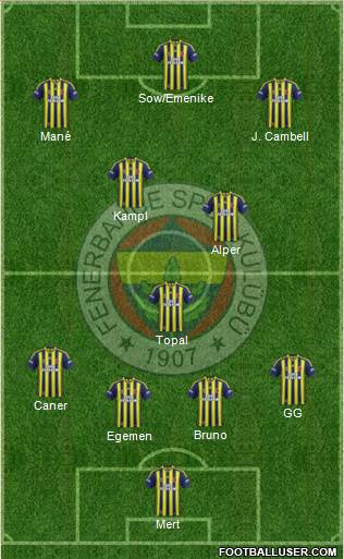 Fenerbahçe SK Formation 2014