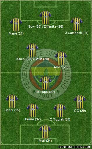 Fenerbahçe SK Formation 2014