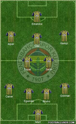 Fenerbahçe SK Formation 2014
