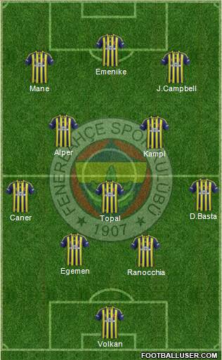 Fenerbahçe SK Formation 2014
