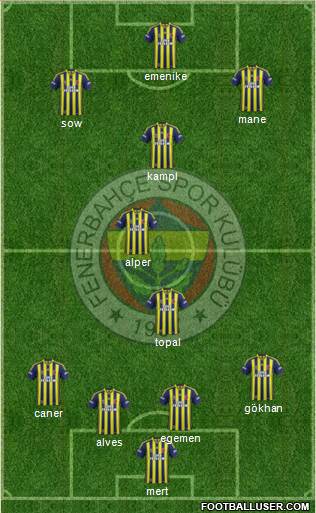 Fenerbahçe SK Formation 2014