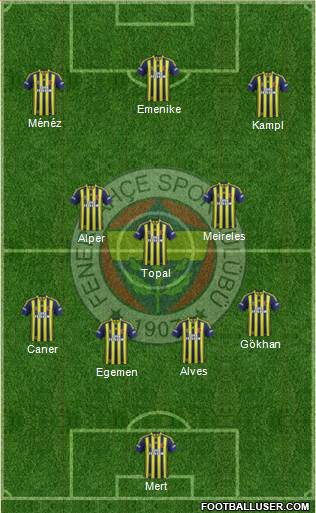 Fenerbahçe SK Formation 2014