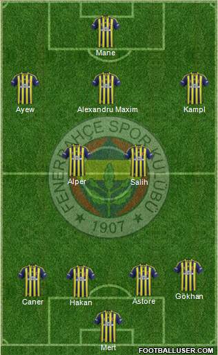 Fenerbahçe SK Formation 2014