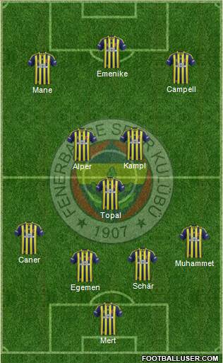 Fenerbahçe SK Formation 2014