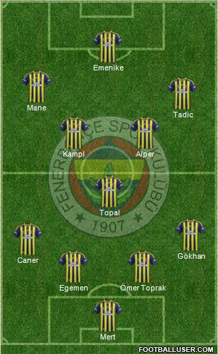 Fenerbahçe SK Formation 2014