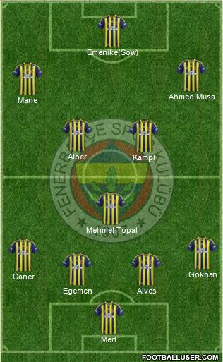 Fenerbahçe SK Formation 2014