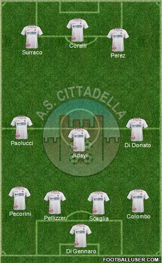 Cittadella Formation 2014