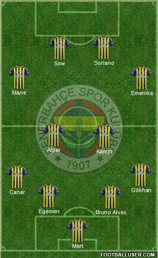 Fenerbahçe SK Formation 2014