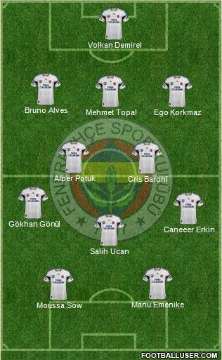 Fenerbahçe SK Formation 2014