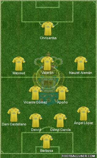 U.D. Las Palmas S.A.D. Formation 2014