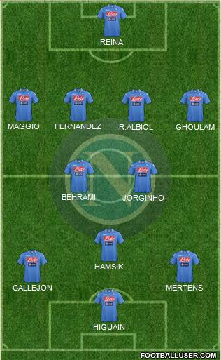 Napoli Formation 2014