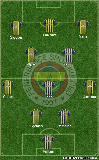 Fenerbahçe SK Formation 2014