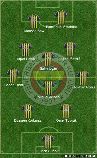 Fenerbahçe SK Formation 2014