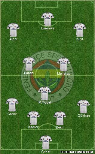 Fenerbahçe SK Formation 2014