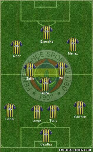 Fenerbahçe SK Formation 2014