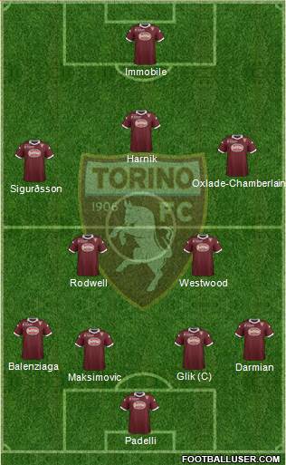 Torino Formation 2014