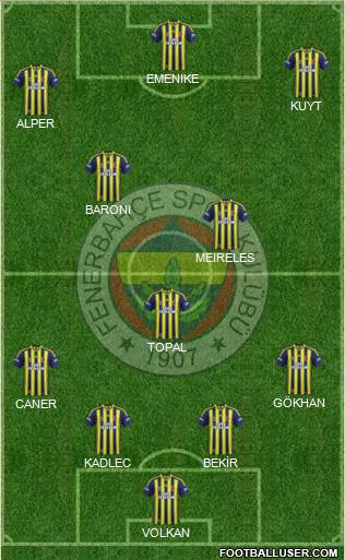 Fenerbahçe SK Formation 2014