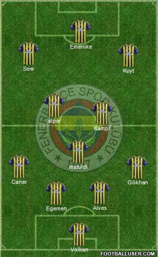 Fenerbahçe SK Formation 2014