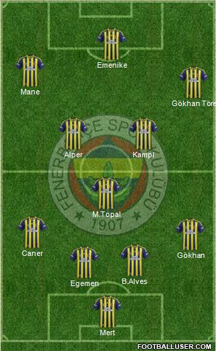 Fenerbahçe SK Formation 2014