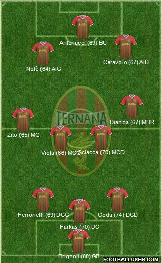 Ternana Formation 2014