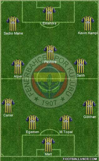 Fenerbahçe SK Formation 2014