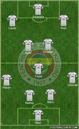 Fenerbahçe SK Formation 2014