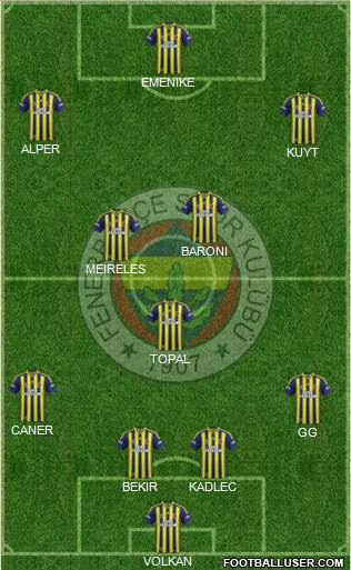 Fenerbahçe SK Formation 2014