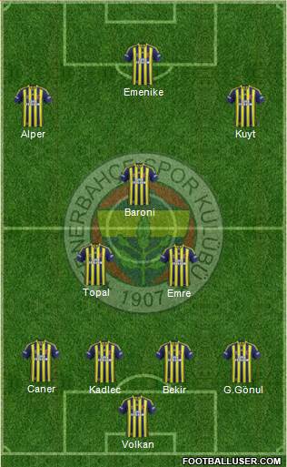 Fenerbahçe SK Formation 2014