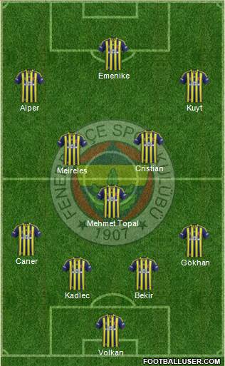 Fenerbahçe SK Formation 2014