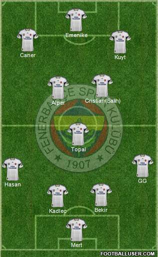 Fenerbahçe SK Formation 2014