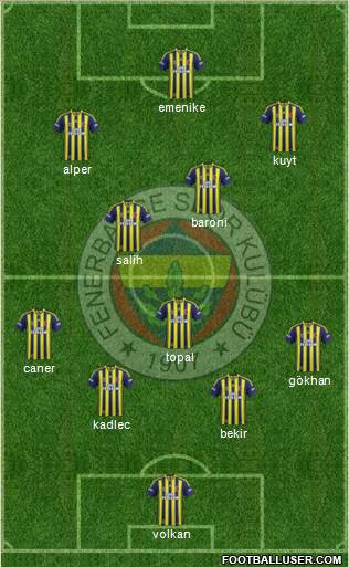 Fenerbahçe SK Formation 2014