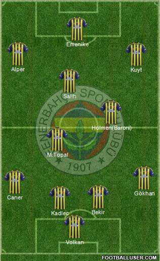 Fenerbahçe SK Formation 2014