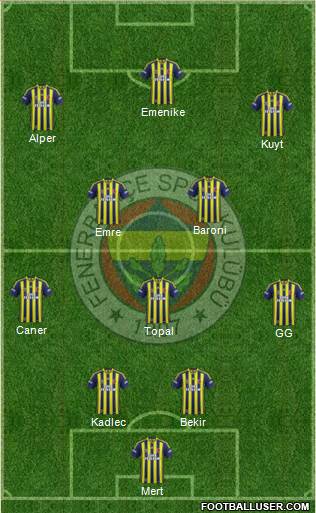 Fenerbahçe SK Formation 2014