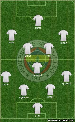 Fenerbahçe SK Formation 2014