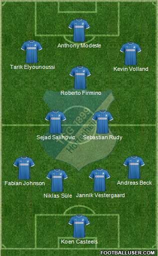 TSG 1899 Hoffenheim Formation 2014