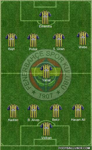 Fenerbahçe SK Formation 2014