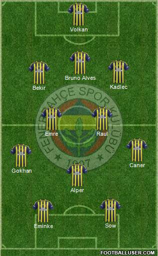 Fenerbahçe SK Formation 2014