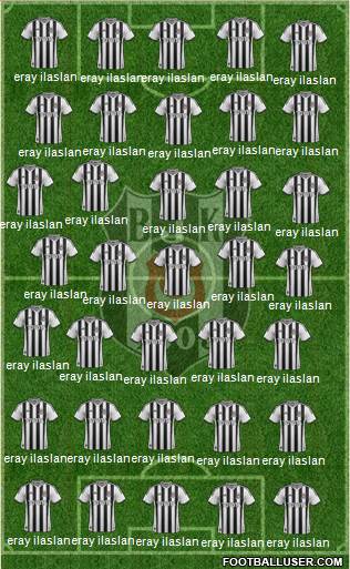 Besiktas JK Formation 2014